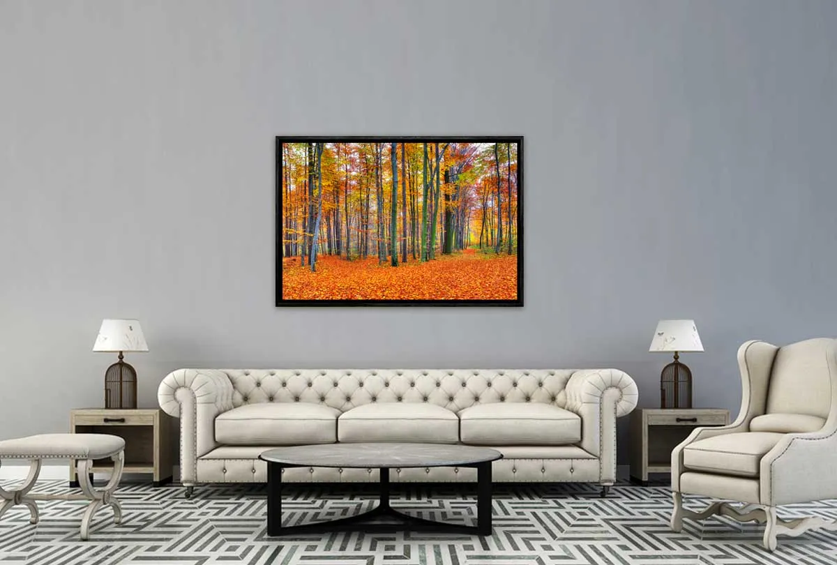 Autumn Forest 2 | Canvas Wall Art Print