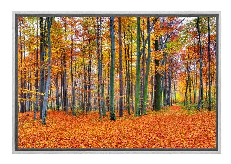 Autumn Forest 2 | Canvas Wall Art Print