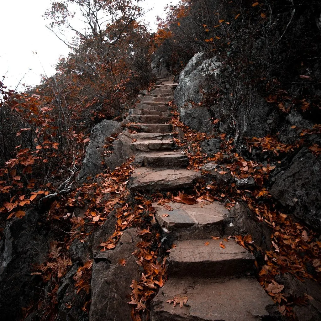 Autumn Path - Lucas Moore