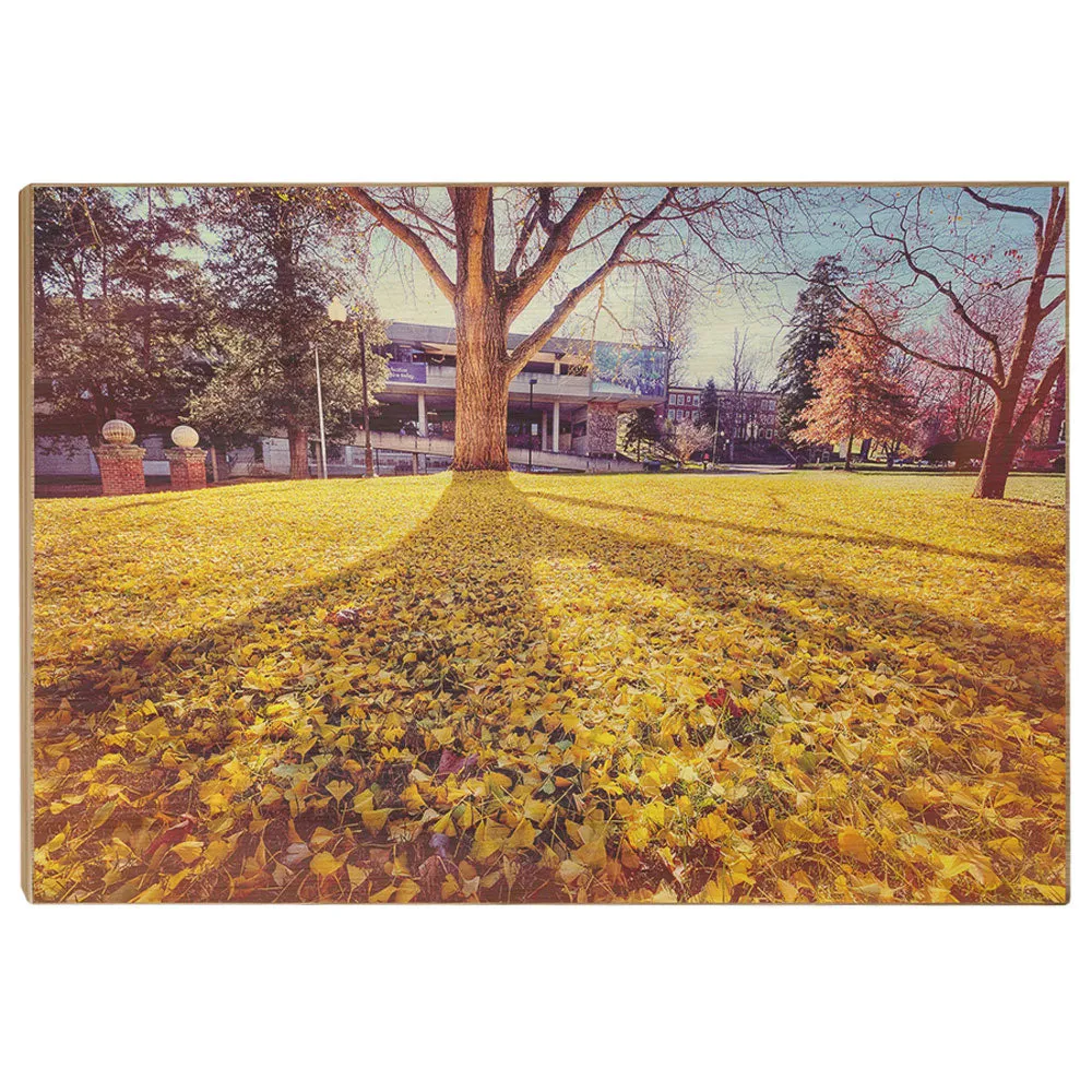 ETSU - Autumn Day