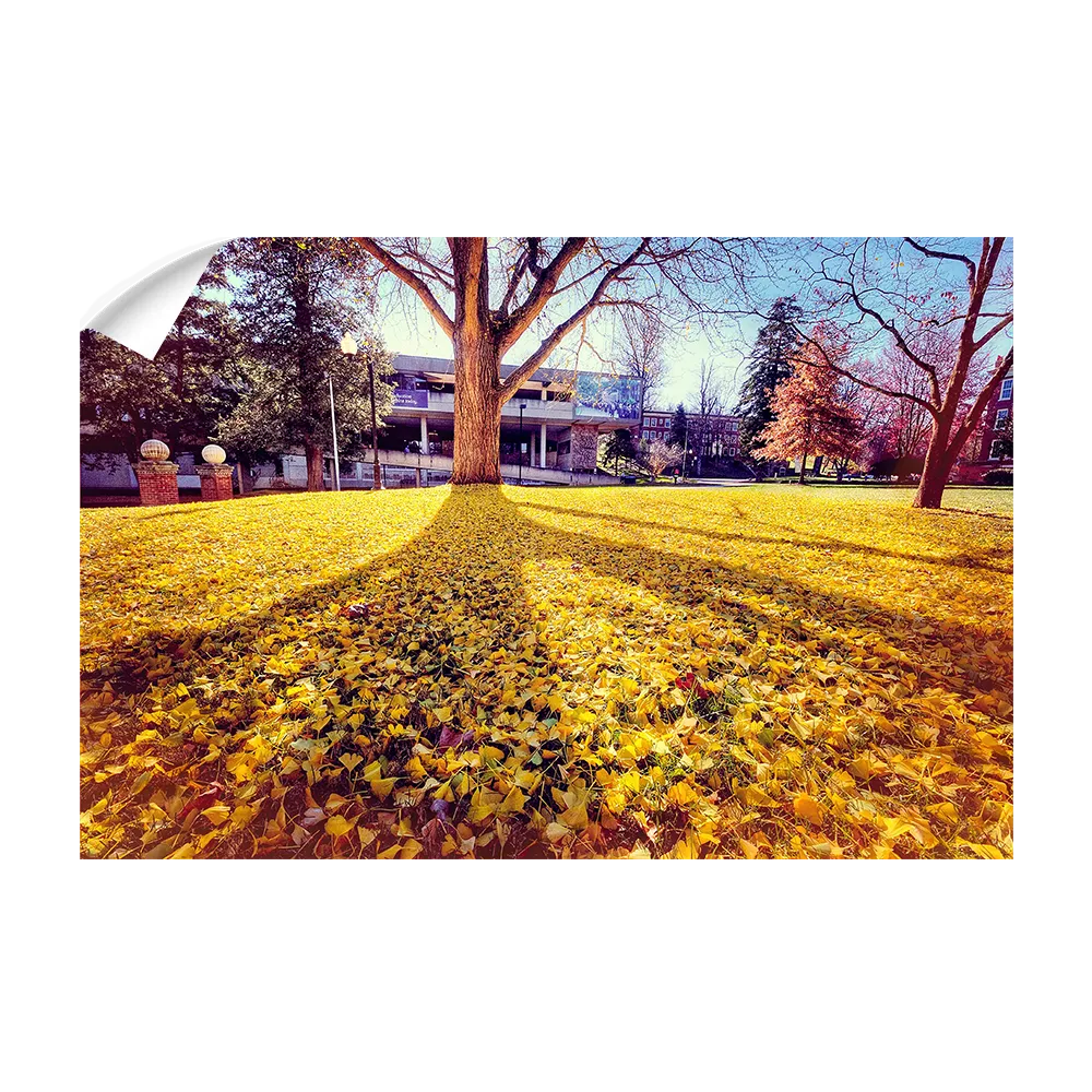 ETSU - Autumn Day