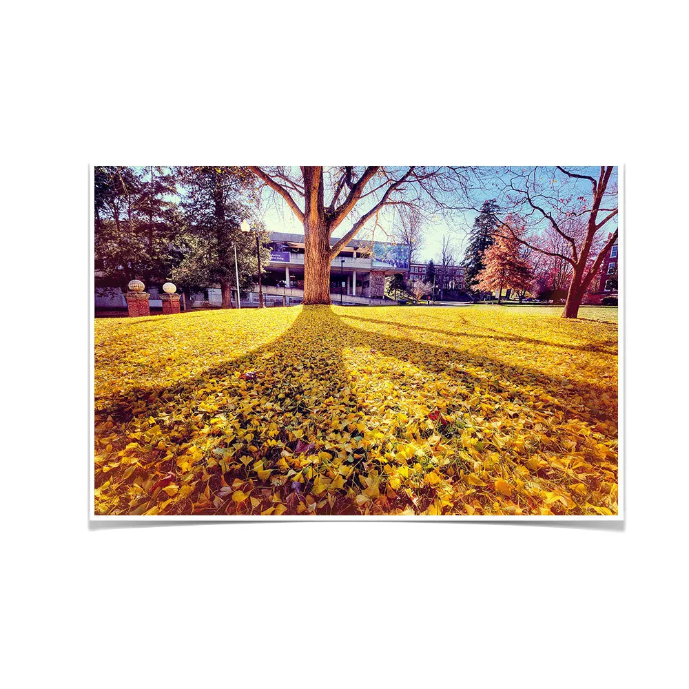 ETSU - Autumn Day