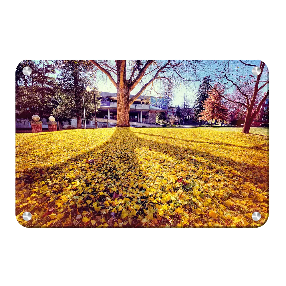 ETSU - Autumn Day