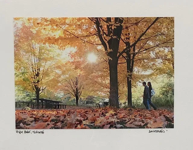 High Park in the Fall Cards by David Allen