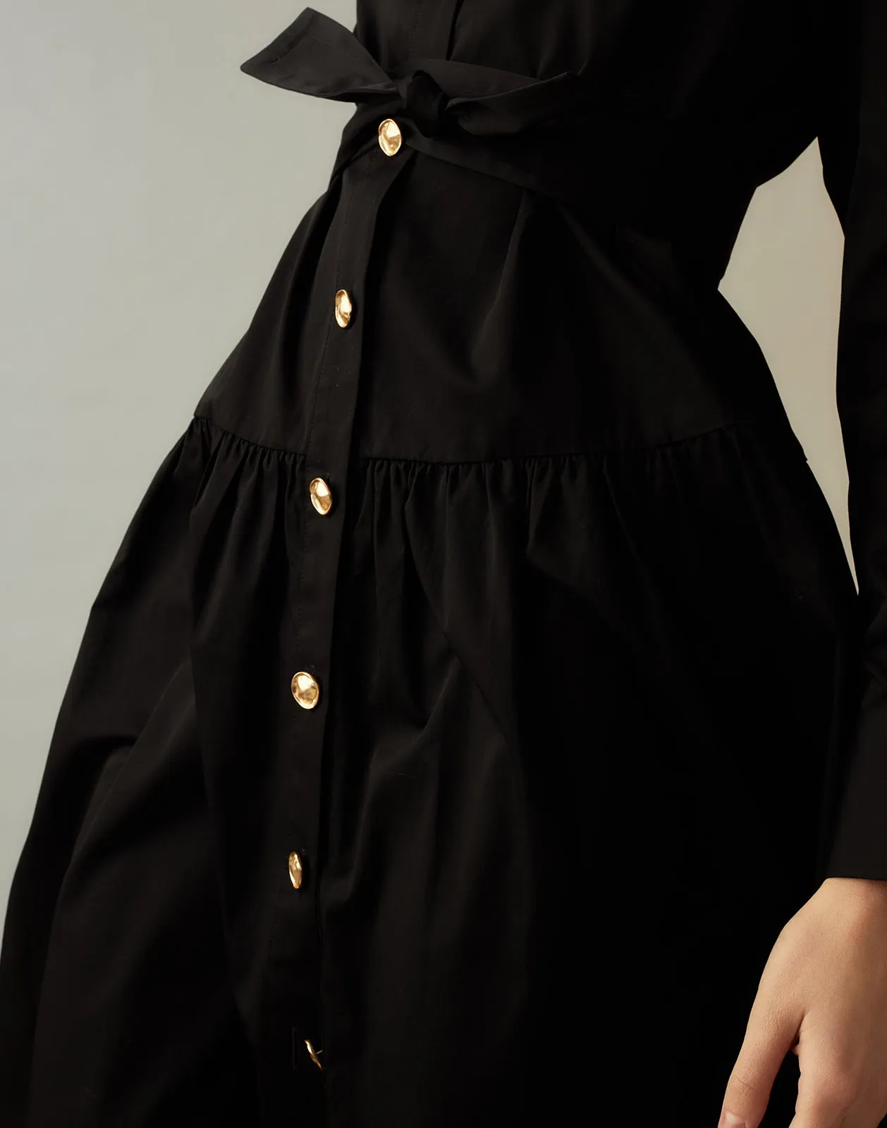 Perennial Shirt Dress