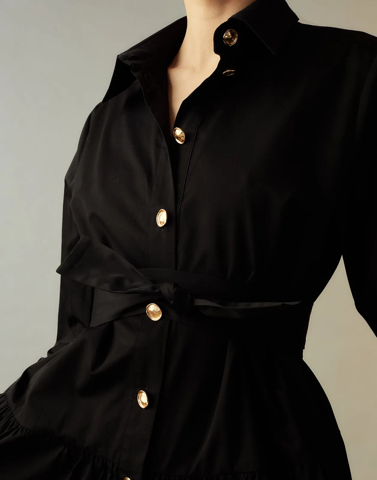 Perennial Shirt Dress