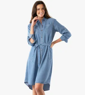 Perfect Shirt Dress (*)